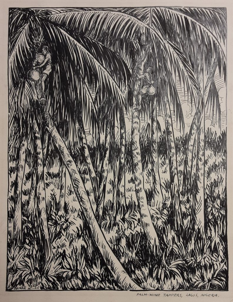Pen and ink drawing of palm wine tappers climbing the trees.